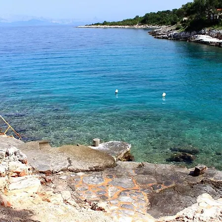 Studio Basina 542a * Jelsa (Hvar)